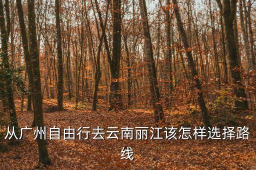 從廣州到麗江的路線，從廣州自由行去云南麗江該怎樣選擇路線