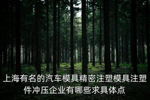 上海有名的汽車模具精密注塑模具注塑件沖壓企業(yè)有哪些求具體點(diǎn)