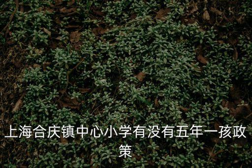 上海合慶鎮中心小學有沒有五年一孩政策