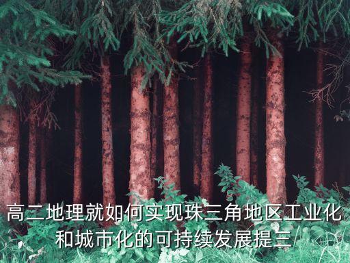 高二地理就如何實現(xiàn)珠三角地區(qū)工業(yè)化和城市化的可持續(xù)發(fā)展提三