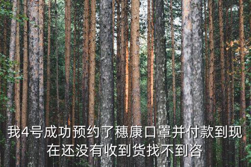穗康廣州口罩，我4號成功預約了穗康口罩并付款到現在還沒有收到貨找不到咨