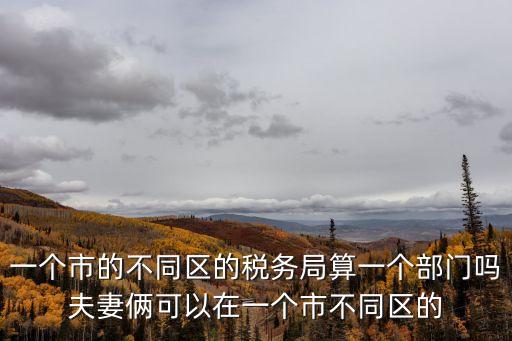 上海市稅務局與各區稅務局的關系，上海稅務有關系做什么