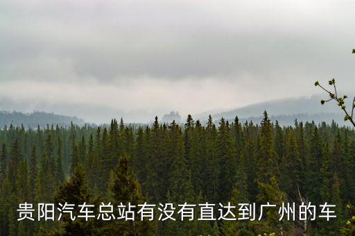貴陽汽車總站有沒有直達到廣州的車