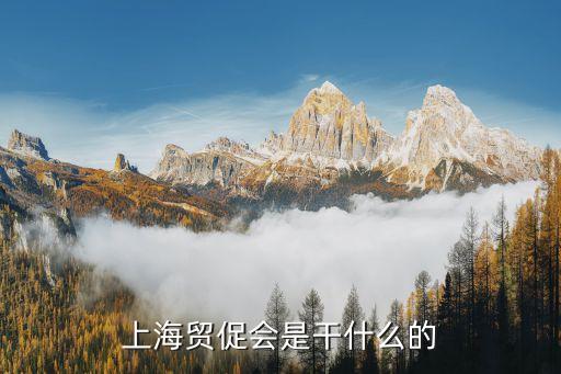 上海市貿促會政策，上海貿促會是干什么的