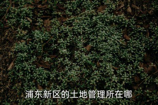 上海市規(guī)劃土地管理事務(wù)中心，上海市虹口區(qū)規(guī)劃和土地管理局