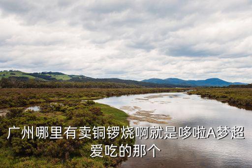 廣州銅鑼燒店，廣州哪里有賣銅鑼燒啊就是哆啦A夢超愛吃的那個
