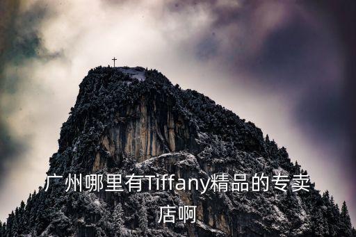 廣州哪里有Tiffany精品的專賣店啊