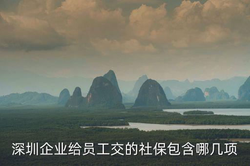 深圳公司為員工買社保，深圳企業給員工交的社保包含哪幾項