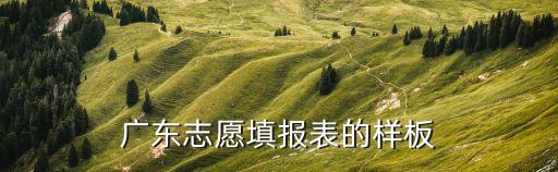 廣東志愿填報(bào)表的樣板