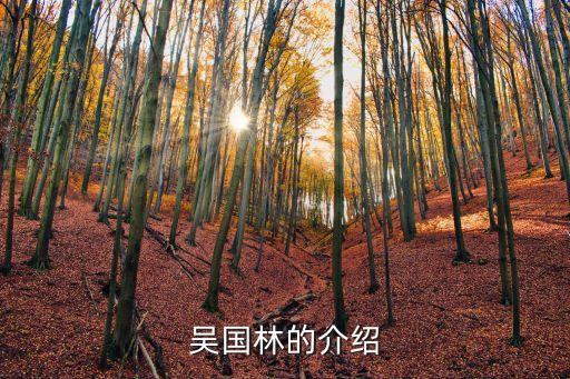 吳國林的介紹