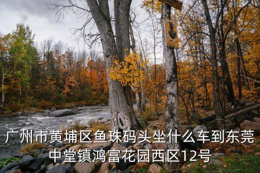 廣州魚珠碼頭汽車，有誰知道廣州市魚珠碼頭至新塘總站571公共汽車早上什么時候