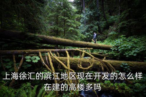 上海市濱江發達嗎，上海徐匯的濱江地區現在開發的怎么樣在建的高樓多嗎