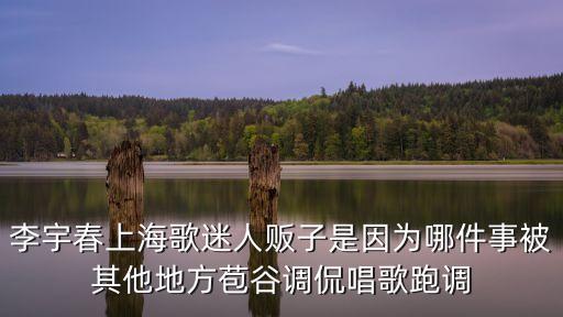 李宇春上海歌迷人販子是因為哪件事被其他地方苞谷調侃唱歌跑調