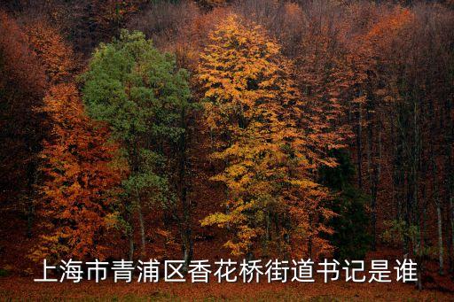 上海市青浦區香花橋街道書記是誰