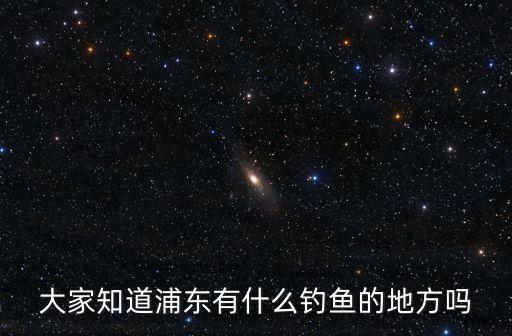 大家知道浦東有什么釣魚的地方嗎