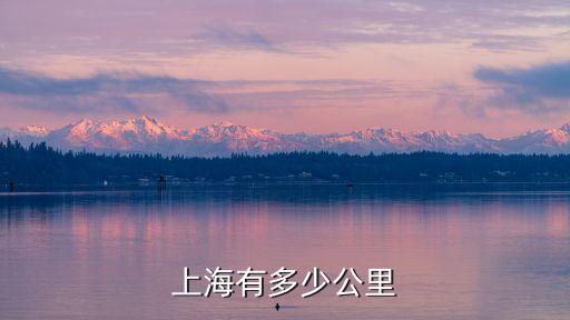 上海有多少公里