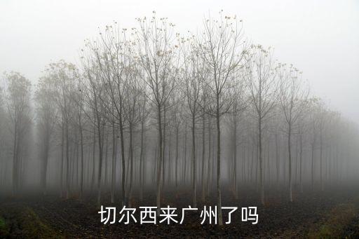 切爾西來廣州了嗎