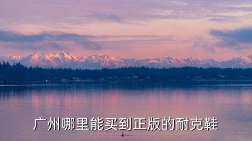 nike廣州貨，廣州在哪里可以買到nike功夫系列的A貨