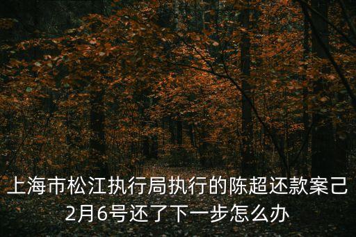 上海市被執(zhí)行人，上海法院失信人查詢系統(tǒng)在哪里查到