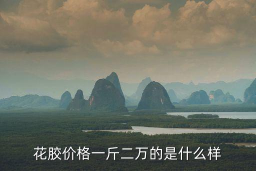 花膠價格一斤二萬的是什么樣