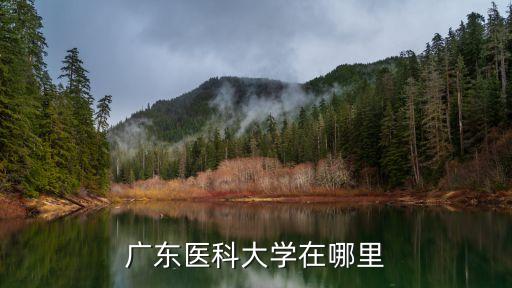 廣州醫科大在哪個省，廣州醫科大學位于廣州哪里
