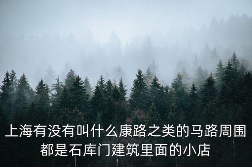 上海有沒有叫什么康路之類的馬路周圍都是石庫門建筑里面的小店