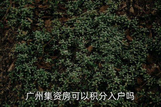 廣州集資房可以積分入戶嗎