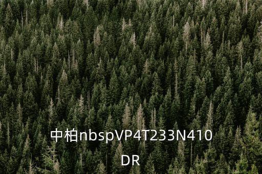 中柏nbspVP4T233N410DR