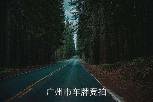2017 廣州 7月 車牌，廣州限制外地車牌嗎