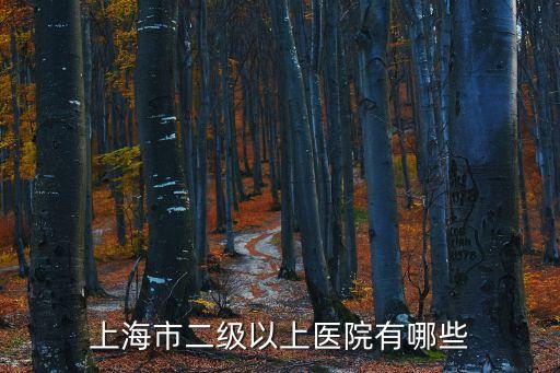 上海市郵電醫院算幾級醫院，上海市區內的三級甲等醫院