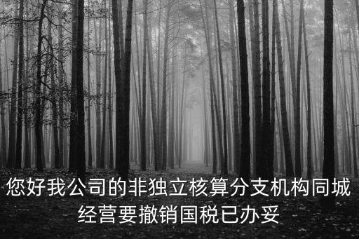 上海市稅務局袁皓然，2判斷題 總分支機構不在同一縣市的增值稅納稅人經批準可有總