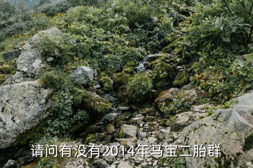 請問有沒有2014年馬寶二胎群