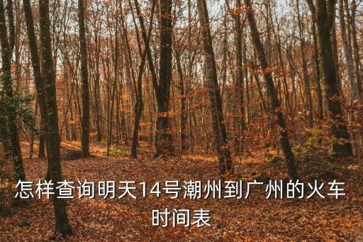怎樣查詢明天14號潮州到廣州的火車時間表