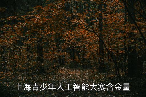 上海青少年人工智能大賽含金量