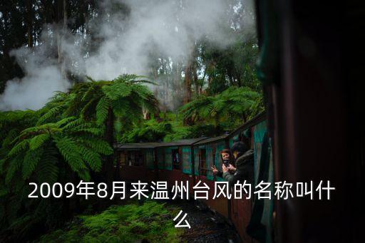 2009年8月來溫州臺風的名稱叫什么