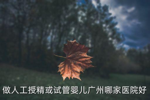 做人工授精或試管嬰兒廣州哪家醫院好
