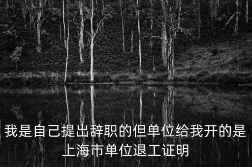 上海市單位退工證明可編輯版本，我是自己提出辭職的但單位給我開的是上海市單位退工證明