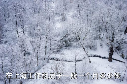 在上海工作租房子一般一個月多少錢