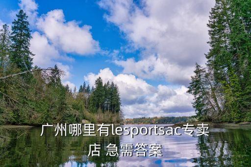 廣州哪里有lesportsac專賣店 急需答案