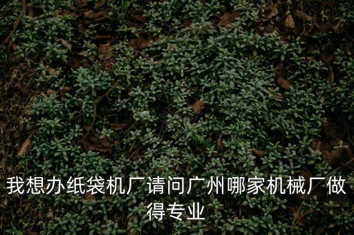 廣州塑料紙箱生產設備，我想辦紙袋機廠請問廣州哪家機械廠做得專業