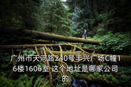 廣州市天河路240號豐興廣場C幢16樓1606室 這個地址是哪家公司的