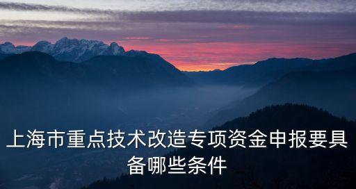 上海市新基建政策，上海市重點技術改造專項資金申報要具備哪些條件