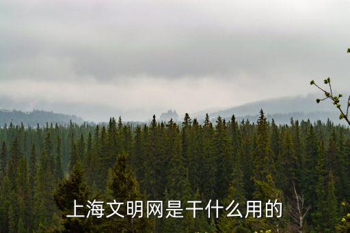 上海文明網是干什么用的