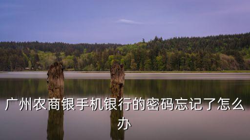 廣州農商銀手機銀行的密碼忘記了怎么辦