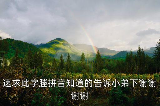 速求此字塍拼音知道的告訴小弟下謝謝謝謝