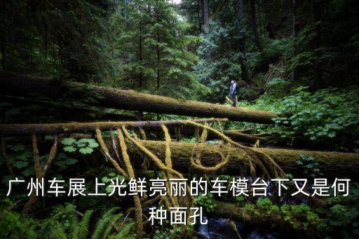 郭晶晶廣州車展視頻，廣州車展上光鮮亮麗的車模臺下又是何種面孔