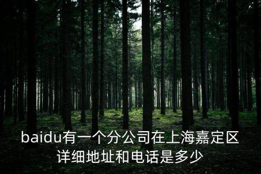 baidu有一個(gè)分公司在上海嘉定區(qū)詳細(xì)地址和電話是多少