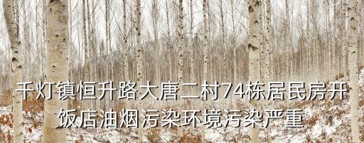 龍正佳 廣州市巡視組二組長，千燈鎮恒升路大唐二村74棟居民房開飯店油煙污染環境污染嚴重