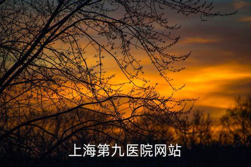 上海第九醫(yī)院網(wǎng)站