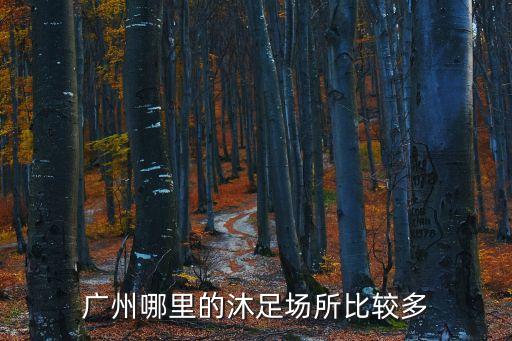 廣州哪里的沐足場所比較多